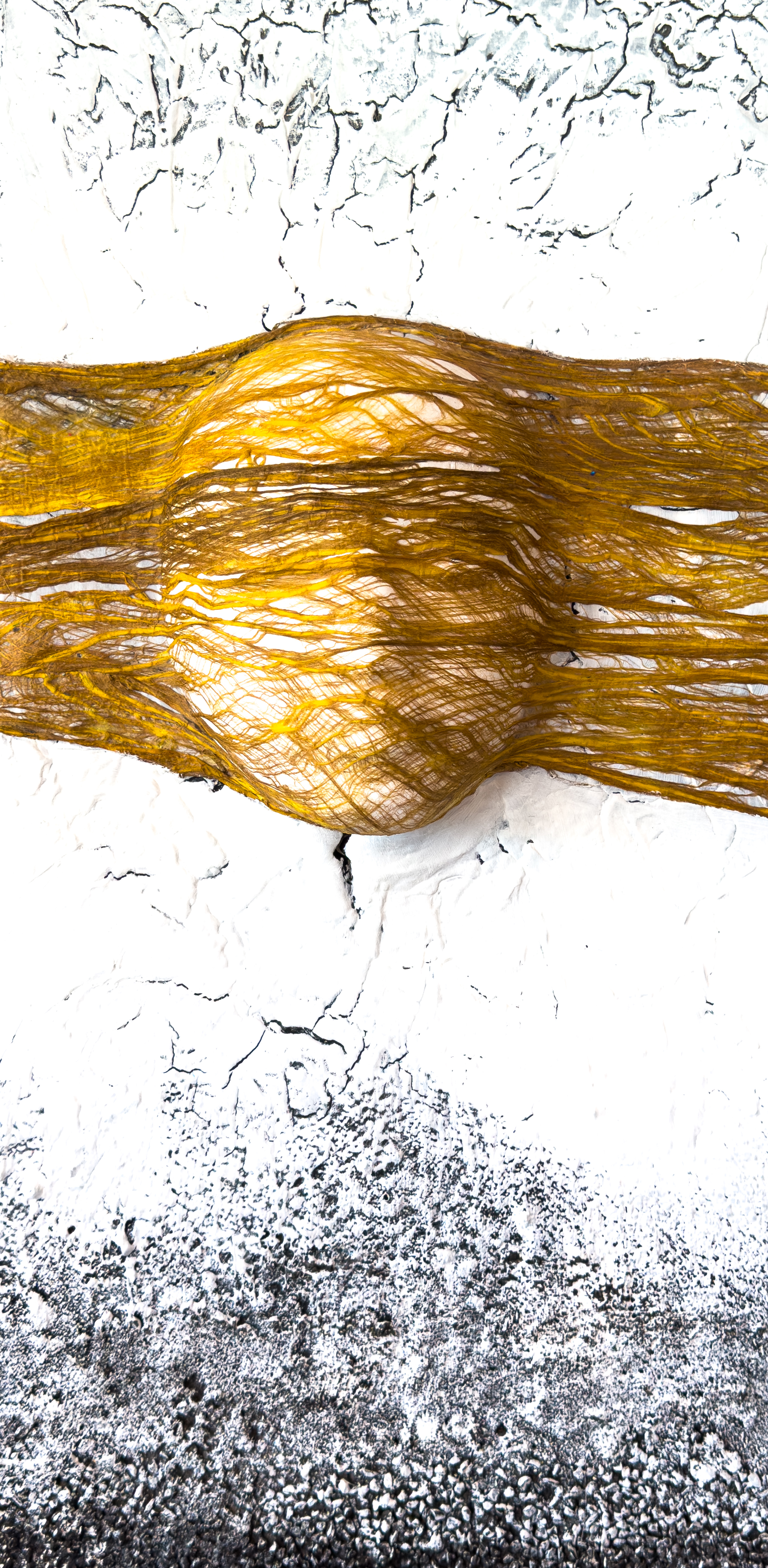 Gone with the wind…, Gesamtansicht: schmales Hochformat, ein goldenes Faserband mit darunter gewölbtem Gesicht quer über rissigem weißem Grund