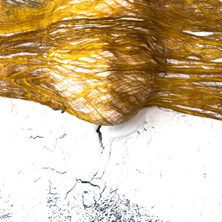 Gone with the wind…, Gesamtansicht: schmales Hochformat, ein goldenes Faserband mit darunter gewölbtem Gesicht quer über rissigem weißem Grund