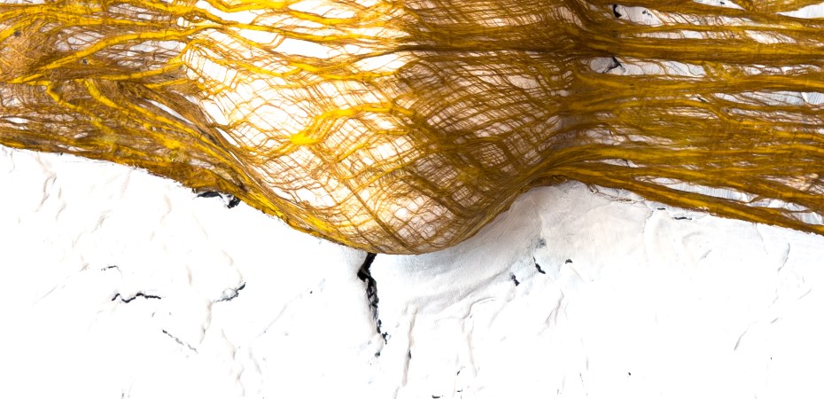 Gone with the wind…, Gesamtansicht: schmales Hochformat, ein goldenes Faserband mit darunter gewölbtem Gesicht quer über rissigem weißem Grund